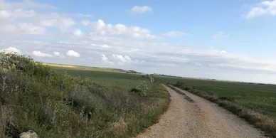 A Dirt Road Stretches Through a Wide, Open Field Under a Clear Blue Sky.