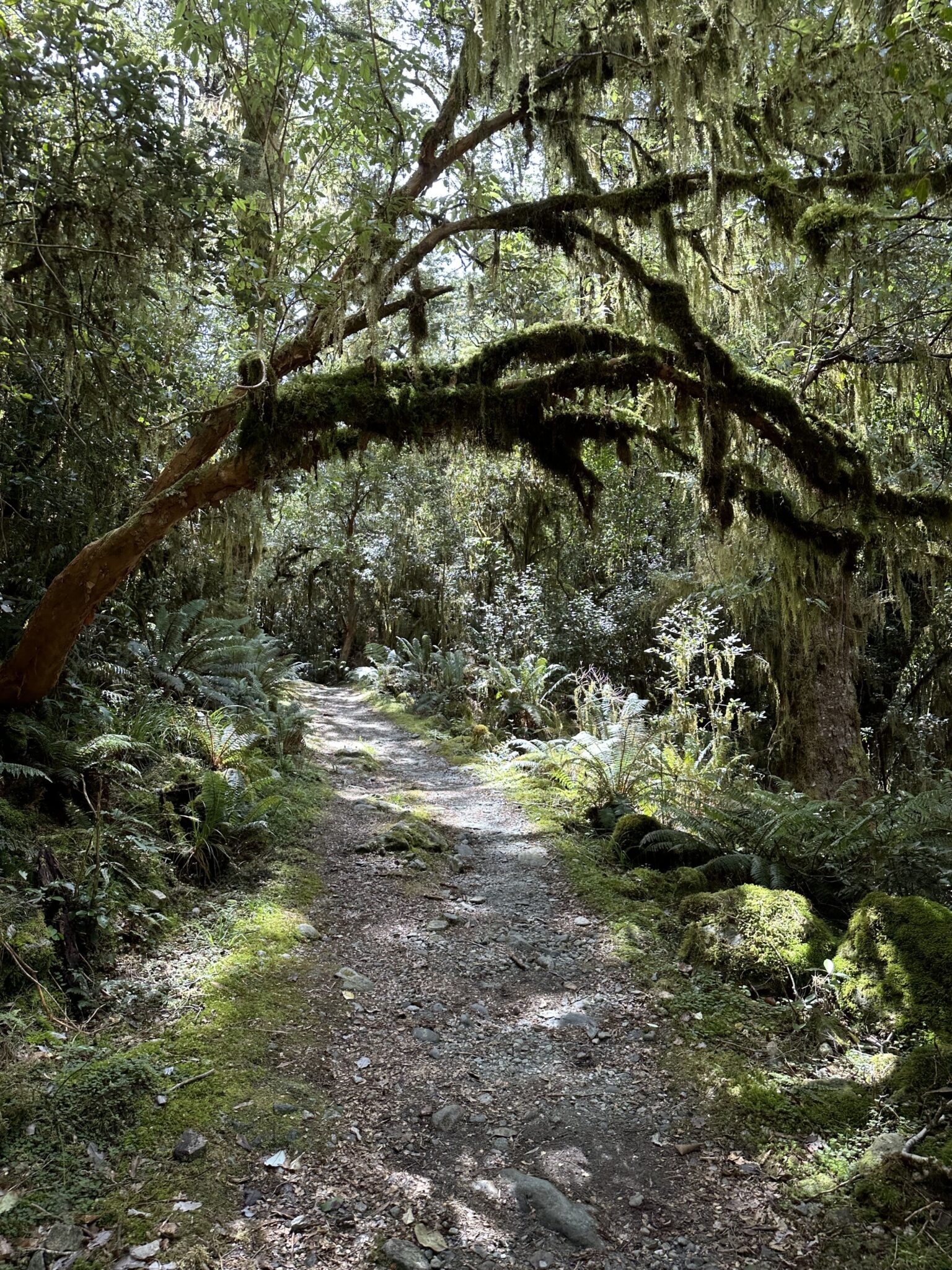 Annes's Journey- Meet Anne