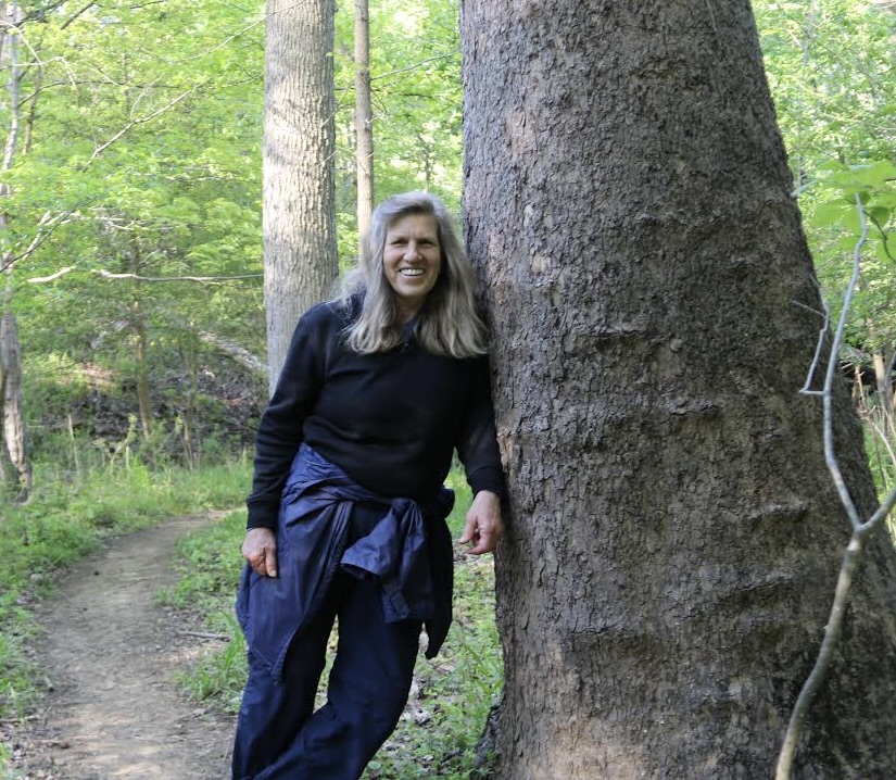 Anne in the forest